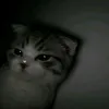 mashulka_52