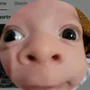 bukayosakaisourstarboyan