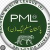 پاکستان مسلم نون لیگ گروپ