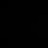 NS/WWWWP