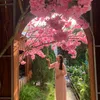 thuyhang22696