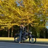 nhhoang.cd50diary
