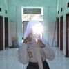 sillvii._vii