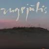 jusscrollin95