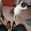 user058586057