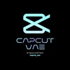 capcut_vae