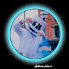 mojammelislam781