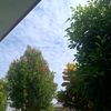 firaa_2145