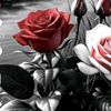 user8634343595306