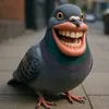 Doctolpigeon