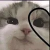 yourbbgirl4