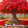 sumon.ali7447