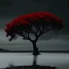 emati.ahmed74