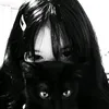 tabrek_66