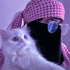 inamohamed151