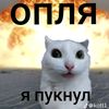 nihua_ne_ponal