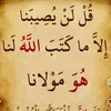 adam65983