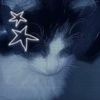 river_pawz15