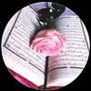 user4875107090574
