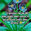user4761302247745oscar