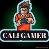sayidcali7329