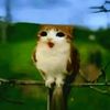 x.2a89whyiaminlovenowidk