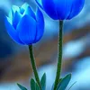 user2581121915542