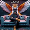 mohamad.abdelsama4