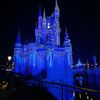 ceciliadisneypintrades