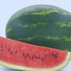 ilovewatermelon211