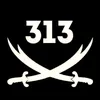 313eb1