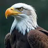 user9712181512324