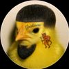 donpollo.ck