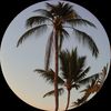 _isdl1