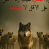user85269858139555