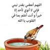 mustafaali62781