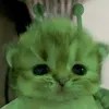 hnahk_nie209