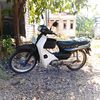 astreagrean2