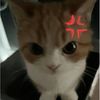 0zzkittyzz0