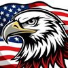 henry_blackhawks