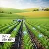 bvtvtientien
