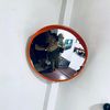 dedek_merit