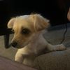officialtrudawg