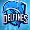 team.delfines.karl