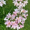 luvpink360