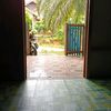 liyaarora060500