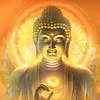Chánh Niệm Mỗi Ngày