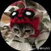 tomsubeo