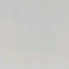 wener737