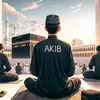 akib.uddin81